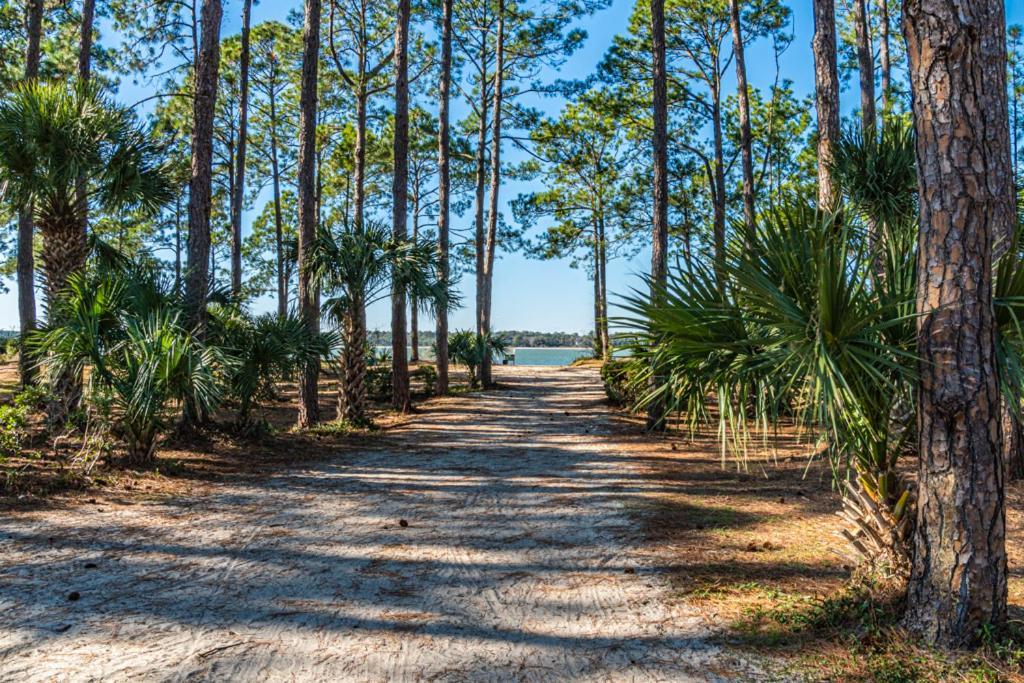 1686 Bluff Villas Renovated Sleeps 8 Walk To Salty Dog Sea Pines Hilton Head Island Exterior photo